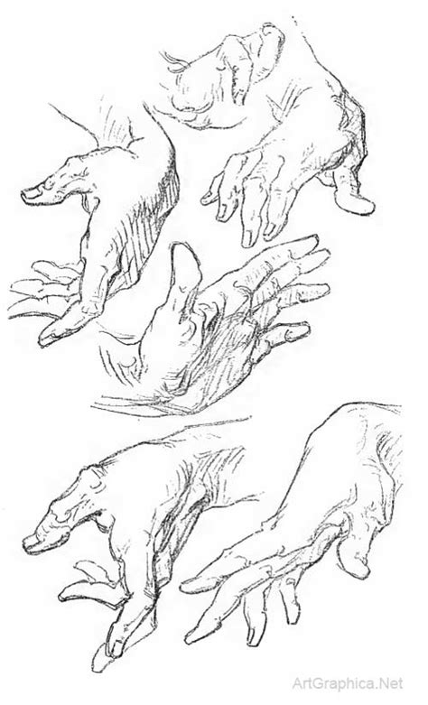 Anatomy Of The Hand And How To Draw Hands By George Bridgman