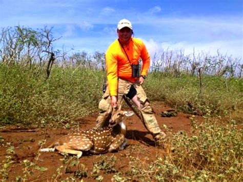 Axis Deer Hunting In Lanai Hawaii