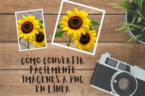 Las Mejores Formas De Convertir Una Imagen A Png De Forma R Pida Y Sencilla