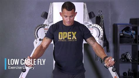 Low Cable Fly Opex Exercise Library Youtube