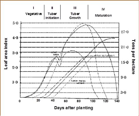 Pdf Protocol For Tuber Bulking Maturity Assessment Of Elite And