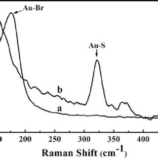 The UV Vis Spectra Of A AuNRs And B Au Rod PNIPAAm PEGMA Nanogel