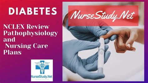 Diabetes Nursing Diagnosis And Nursing Care Plan Example Diabetes Care