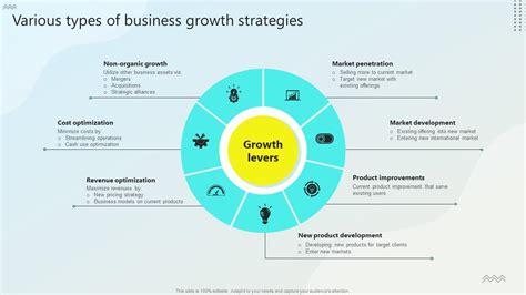 Various Types Of Business Growth Strategies Steps For Business Growth