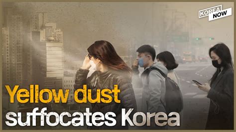 Yellow Dust Season In Korea 2024 - Dyane Grethel