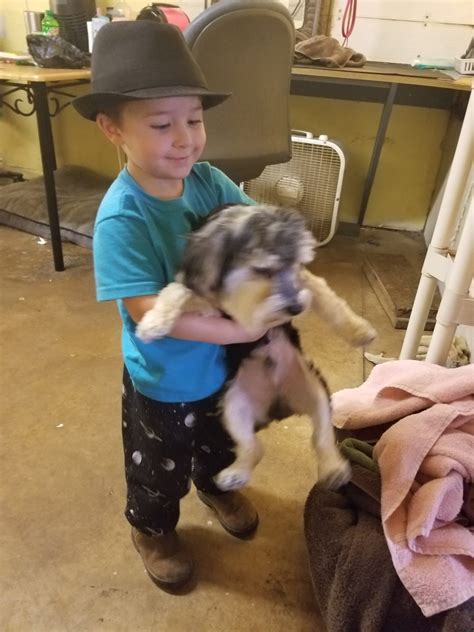 ALL ABOUT PETS - Tuscaloosa AL - Hours, Directions, Reviews - Loc8NearMe