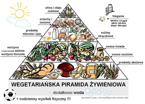 Wegetariańska piramida żywieniowa PrzyslijPrzepis pl