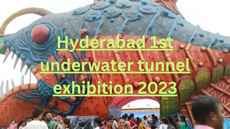 Underwater Tunnel Aquarium Expo Hyderabad Fish Aquarium In