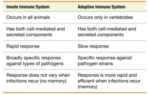 Chapter Innate Host Defenses Flashcards Quizlet