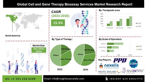 Cell And Gene Therapy Bioassay Services Market Share Size Growth And