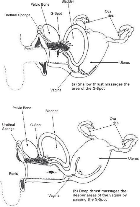 Healing Love Through The Tao Cultivating Female Sexual Energy Semantic Scholar