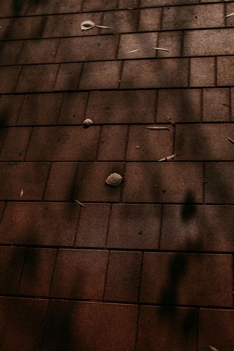 pavement     pexels stock