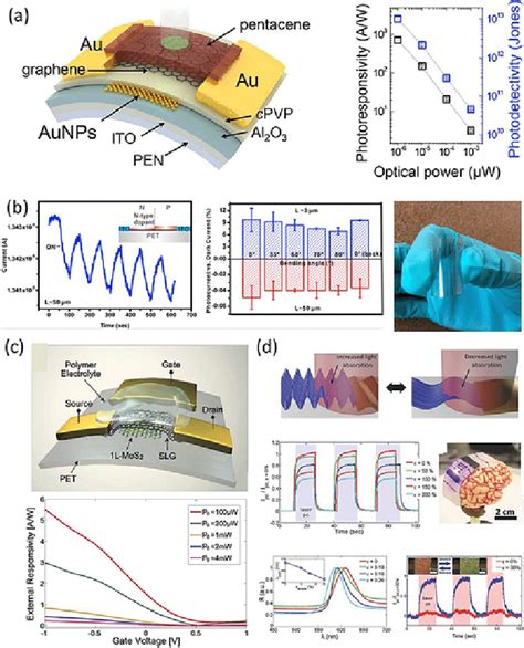 A Illustration Of The Flexible Graphene Based Photodetector