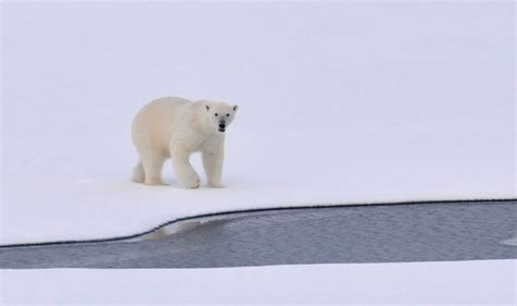 Kostenlose Foto Meer Wasser Natur Ozean Schnee Kalt Wei B R