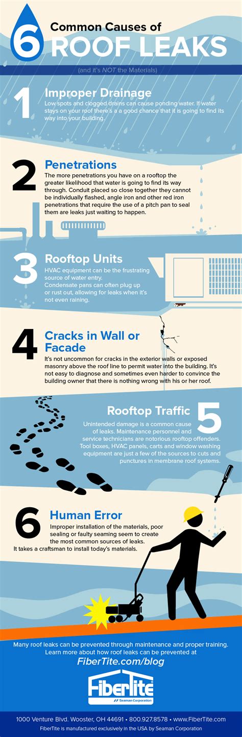 Heres A Cool Article And Infographic On The 6 Common Causes Of Roof