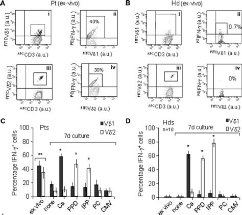 Ex Vivo ␥␦ T Cells From Hiv 1infected Patients Express Ifn