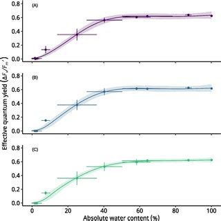 The chronological response of photochemical efficiency ΔF Fm in a