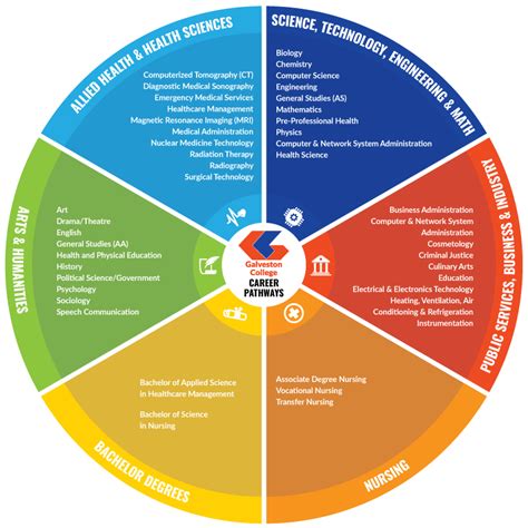 Career Path Diagram