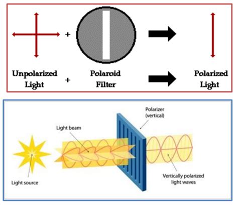 Cie As And A Level Physics 9702 Topic 7 Waves Unit 75 Polarisation