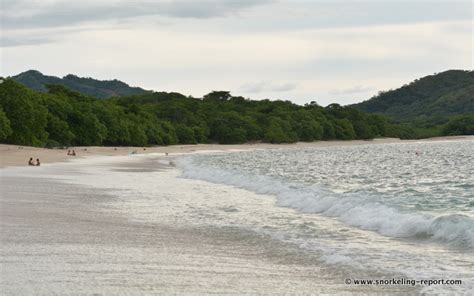 Snorkeling in Playa Conchal, Guanacaste | Snorkeling in Costa Rica