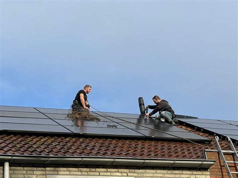 Vogelwering Zonnepanelen Plaatsen Housecare Service