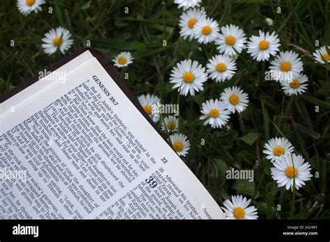 Open Bible. genesis Stock Photo - Alamy