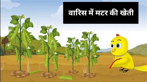 Tuni Chidiya Wala Cartoon In Hindi Cartoon