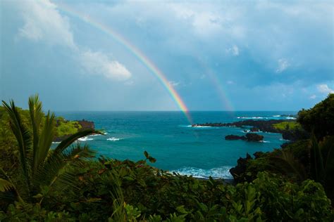 Download Horizon Nature Palm Tree Shrub Tropical Hawaii Ocean Rainbow