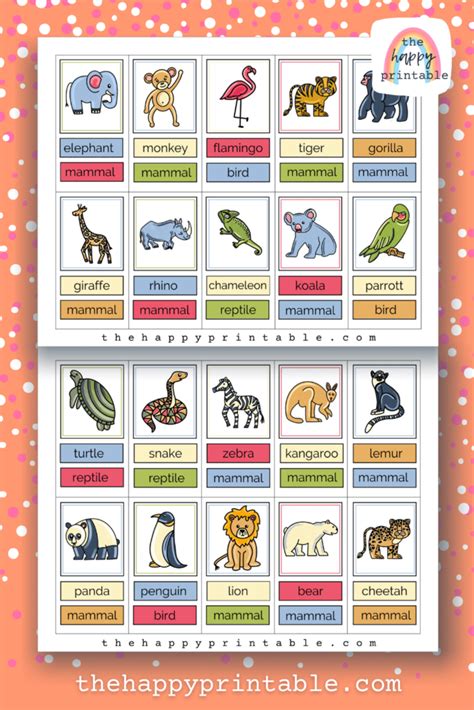 printable zoo animal flash cards - zoo animal flashcards by teaching ...