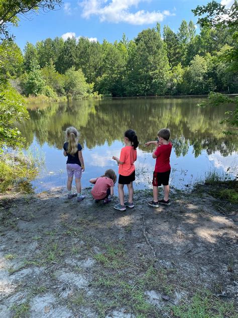 Contentnea Creek › North Carolina Science Trail