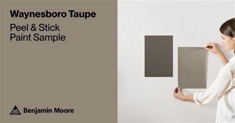 Waynesboro Taupe Paint Sample By Benjamin Moore 1544 Peel Stick