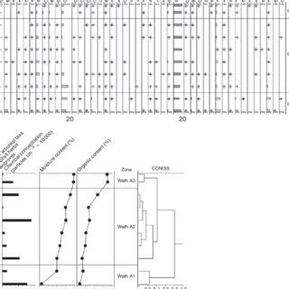 (PDF) Patterned fen formation and development from the Great Sandy Region, south-east Queensland ...