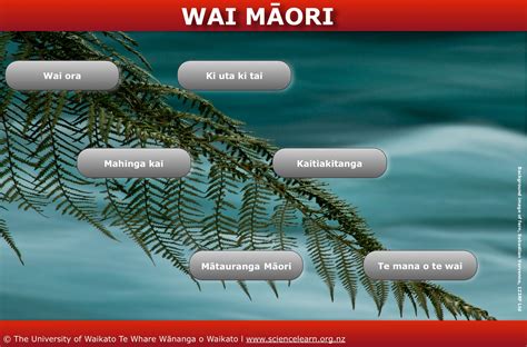 Wai Māori — Science Learning Hub