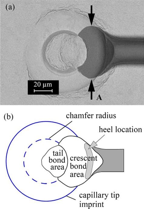 Example Crescent Bond A Bse Sem Micrograph And Location Of