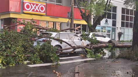 Tempestade Derruba árvores E Causa Alagamentos Na Região Acidade On