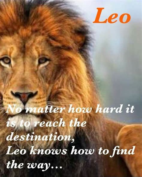 Pin By Indra On Leo ♌ Leo Zodiac Facts Leo Zodiac Quotes Leo