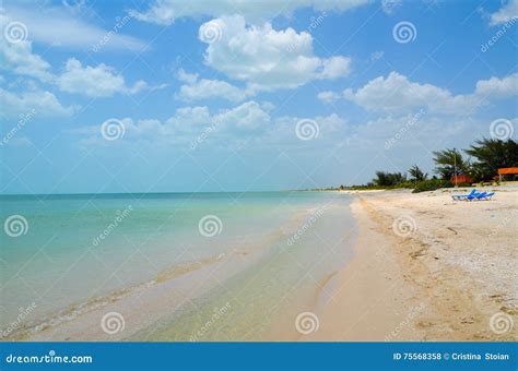 Celestun Beach, Yucatan, Mexico Editorial Image | CartoonDealer.com #75568348