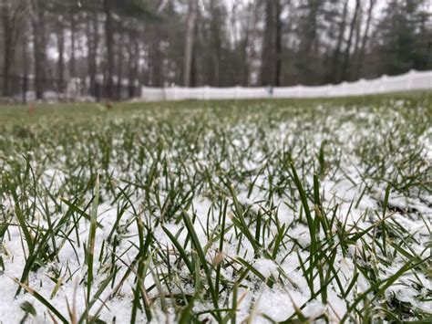 Why You Should Cut Your Grass Shorter Before Winter Lawn Phix