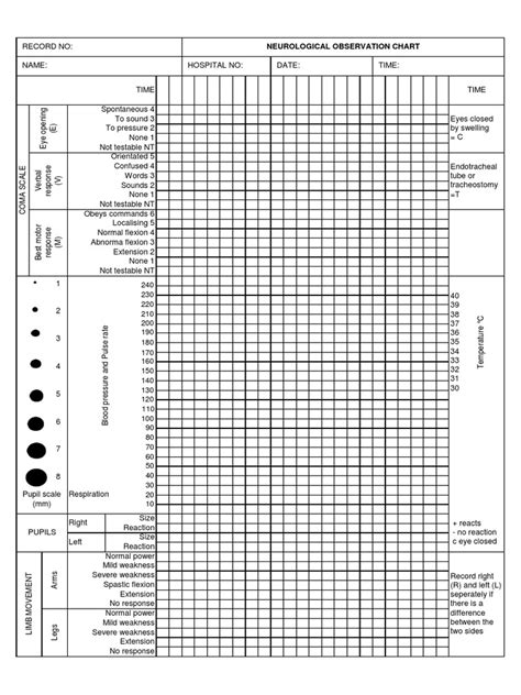 Neuro Obs Anatomical Terms Of Motion Coma