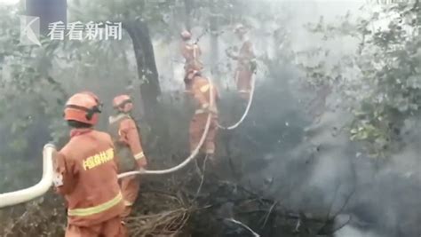 云南大理发生森林火灾 扑火力量增至1400余人火势迅速往西北方蔓延！云南大理森林火灾：扑火力量增至1400余人看看新闻网