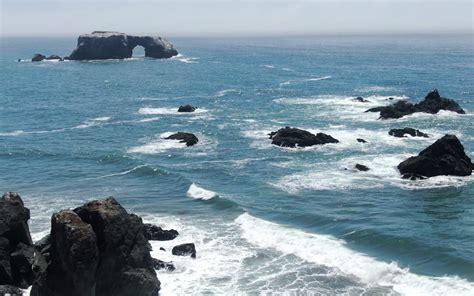 Sonoma Coast Beaches - The Official Bodega Bay Area Website