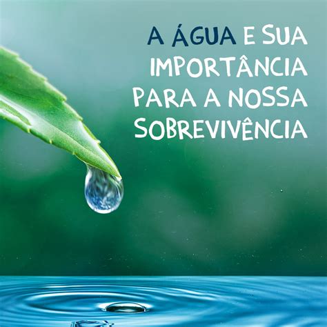 A água e sua importância para a nossa sobrevivência Aprimorar