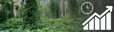 plant invasive  invasion process ufifas center