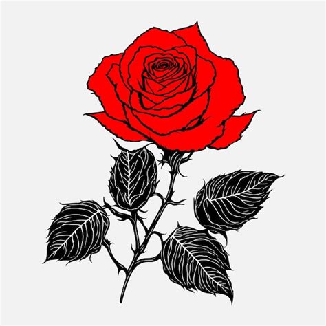 Premium Vector | Hand drawn rose black outline vector on white ...