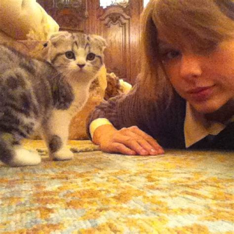 Taylor Swift cat kitten - Taylor Swift Instagram pictures | Glamour UK