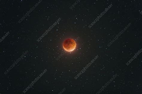 Super Blood Moon Eclipse, 2015 - Stock Image - C033/4664 - Science Photo Library