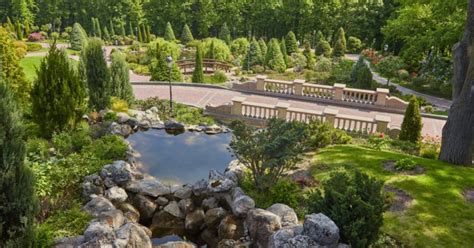 5 Landscape Maintenance Tips For A Beautiful Yard | Fernandez & Sons