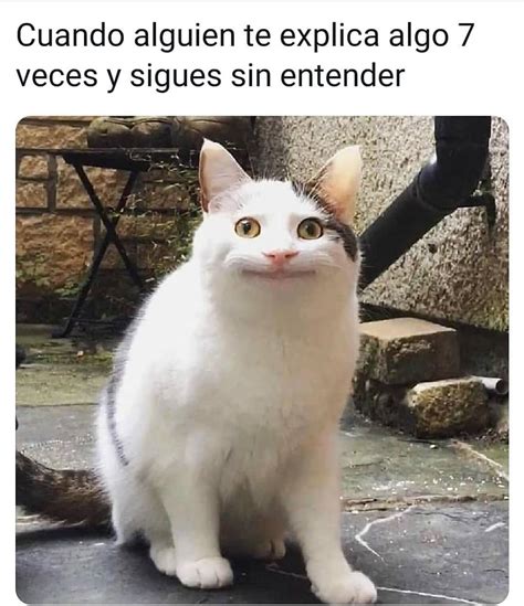 Cuando Alguien Te Explica Algo 7 Veces Y Sigues Sin Entender Memes