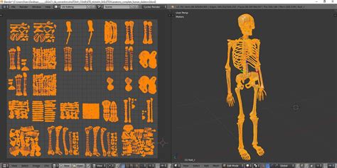 Anatomy - Complete human skeleton 3D Model $39 - .unknown .blend .fbx ...