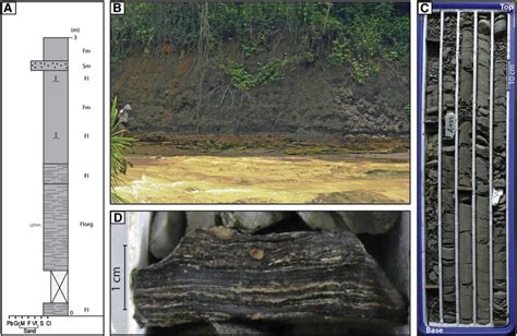 A Typical Vertical Log Of Lacustrine Facies Association B Thick